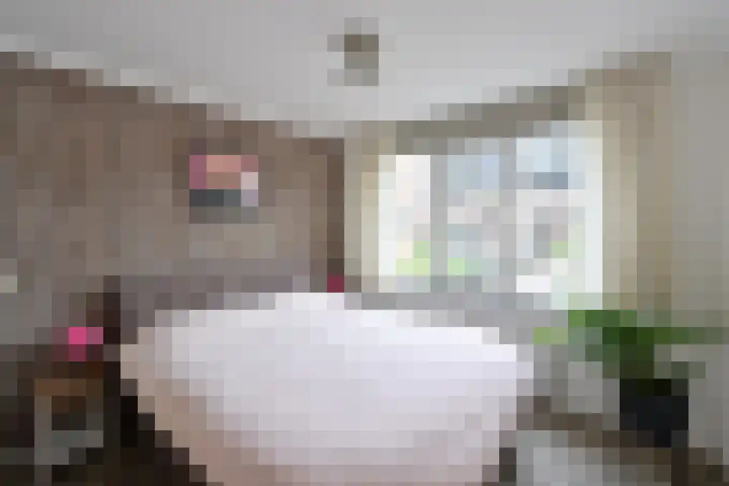 Gooierserf 328 Huizen thumbnail 10