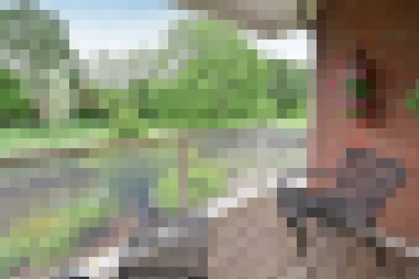 Gooierserf 328 Huizen thumbnail 13