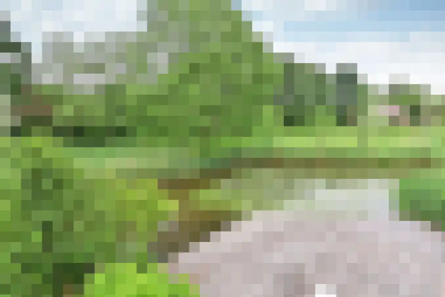Gooierserf 328 Huizen thumbnail 14