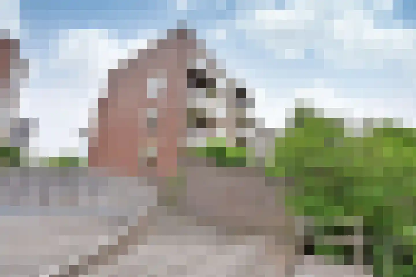 Gooierserf 328 Huizen thumbnail 15