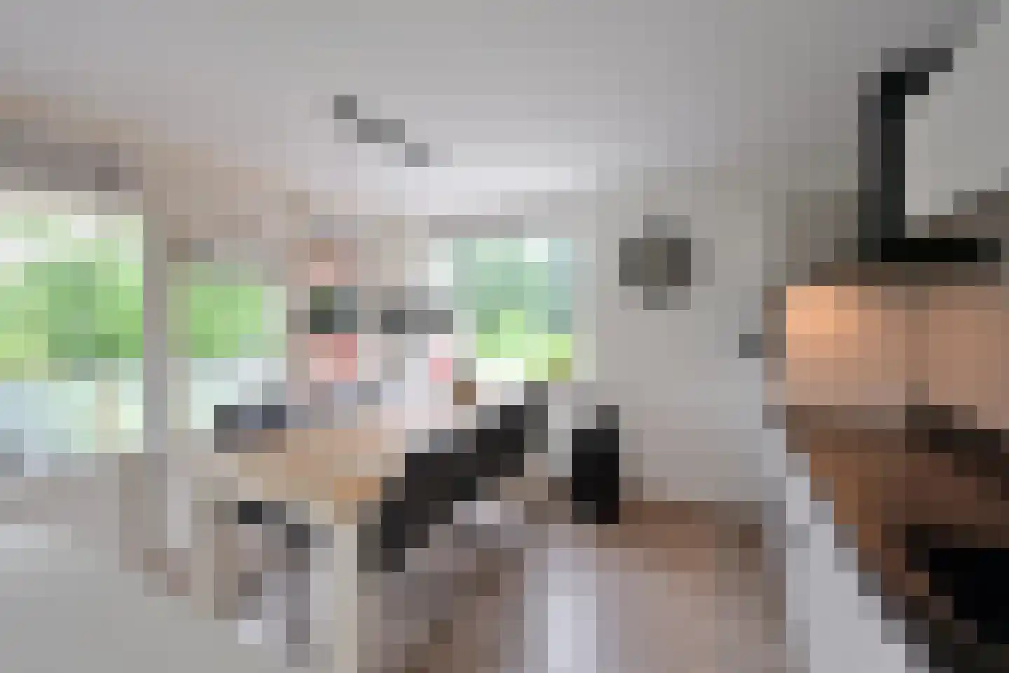 Gooierserf 328 Huizen thumbnail 7