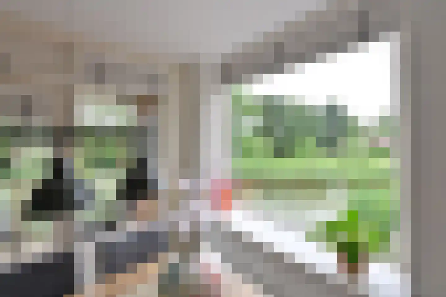 Gooierserf 328 Huizen thumbnail 8