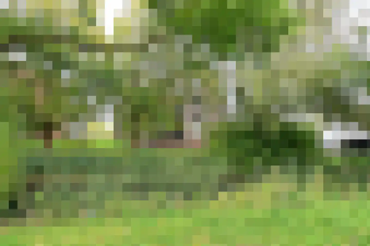 Gooierserf 374 Huizen thumbnail 13