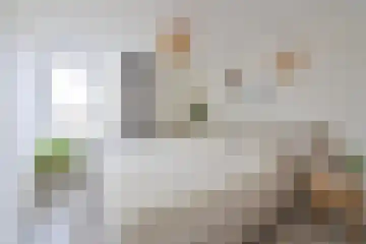 Gooierserf 376 Huizen thumbnail 12