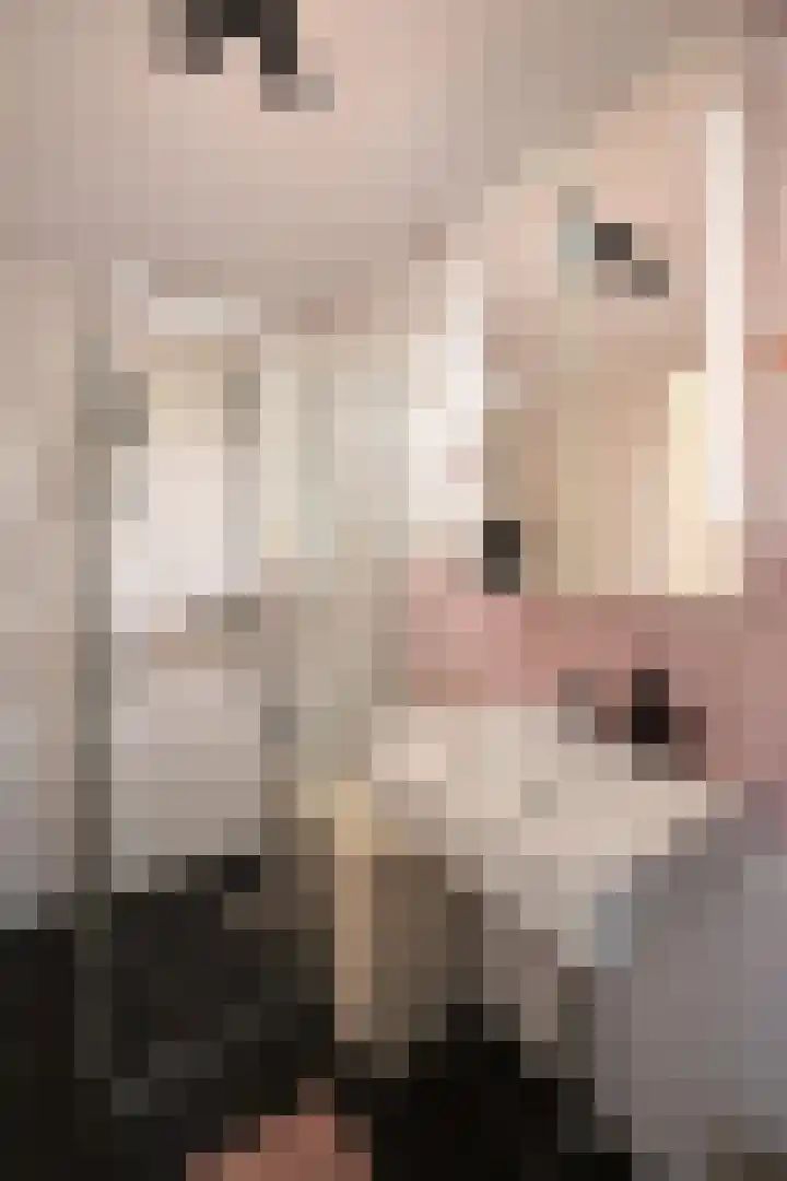 Gooierserf 376 Huizen thumbnail 13