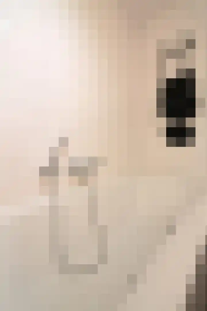 Gooierserf 376 Huizen thumbnail 14