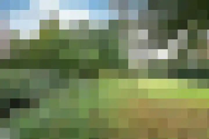 Gooierserf 376 Huizen thumbnail 19