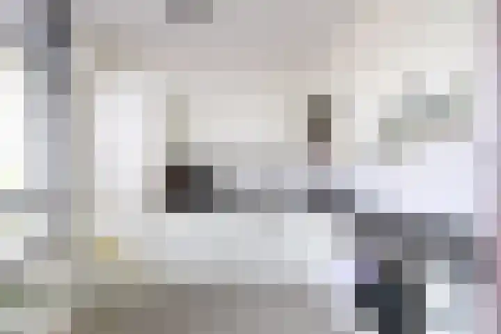 Gooierserf 376 Huizen thumbnail 4