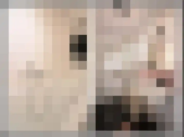 Gooierserf 376 Huizen thumbnail 5