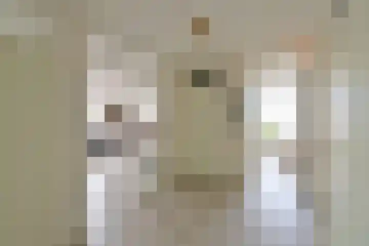 Gooierserf 376 Huizen thumbnail 7