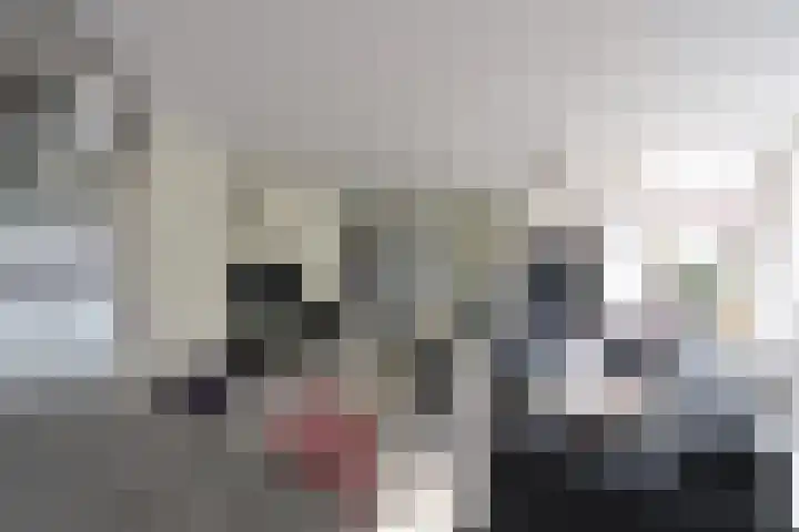 Gooierserf 376 Huizen thumbnail 8