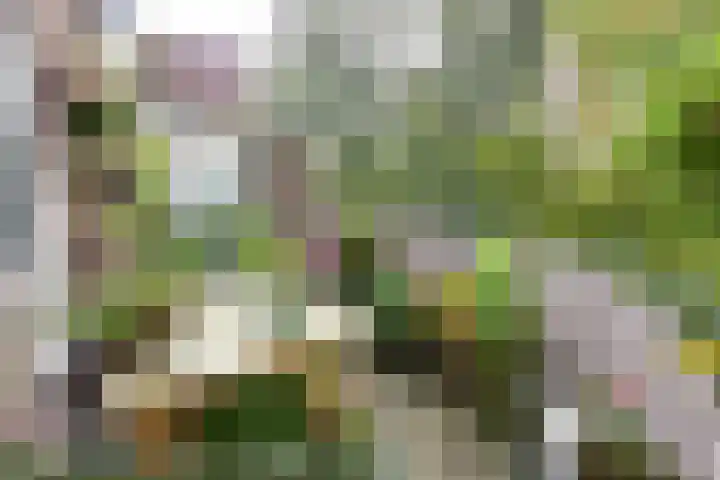 Gooierserf 376 Huizen thumbnail 9