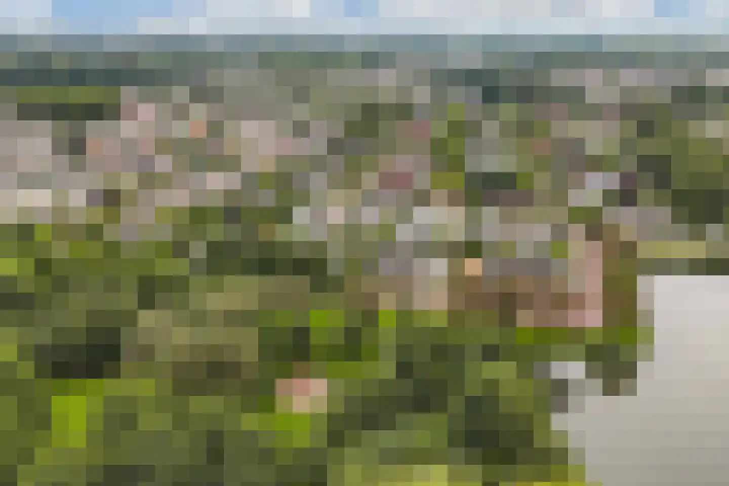 Gooilaan 15 Emmeloord thumbnail 12