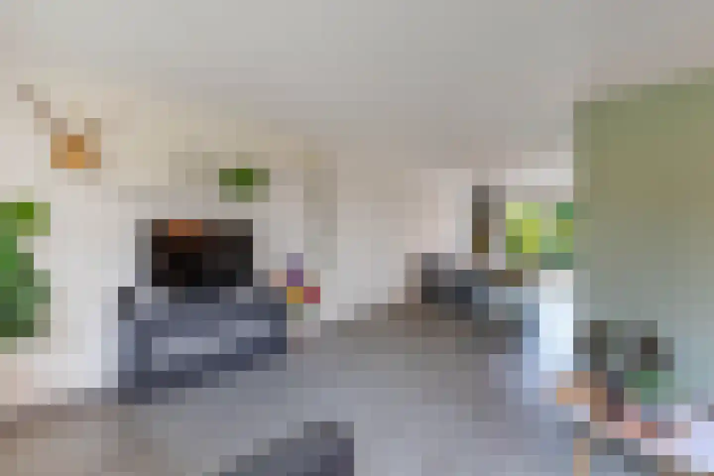 Gooilaan 15 Emmeloord thumbnail 23
