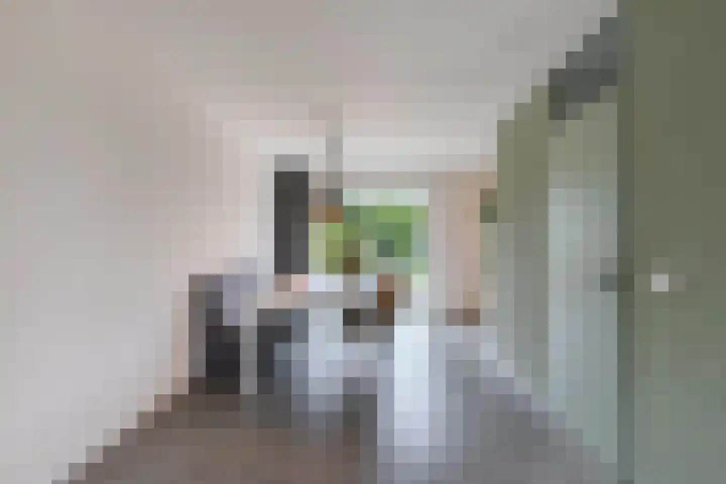 Gooilaan 15 Emmeloord thumbnail 25