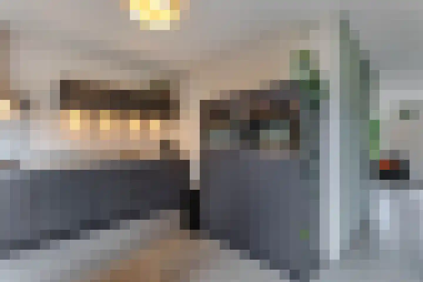 Gooilaan 15 Emmeloord thumbnail 29