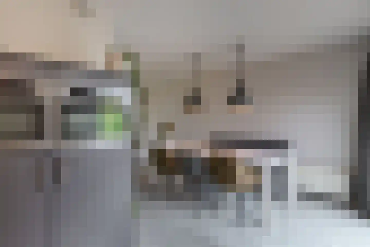 Gooilaan 15 Emmeloord thumbnail 30