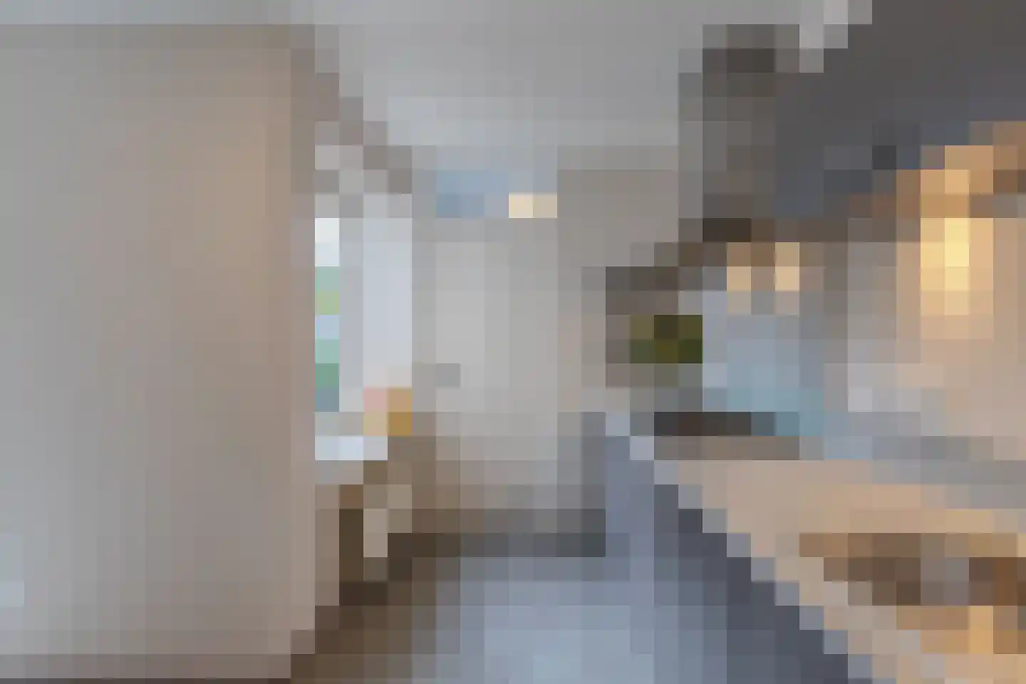Gooilaan 15 Emmeloord thumbnail 32
