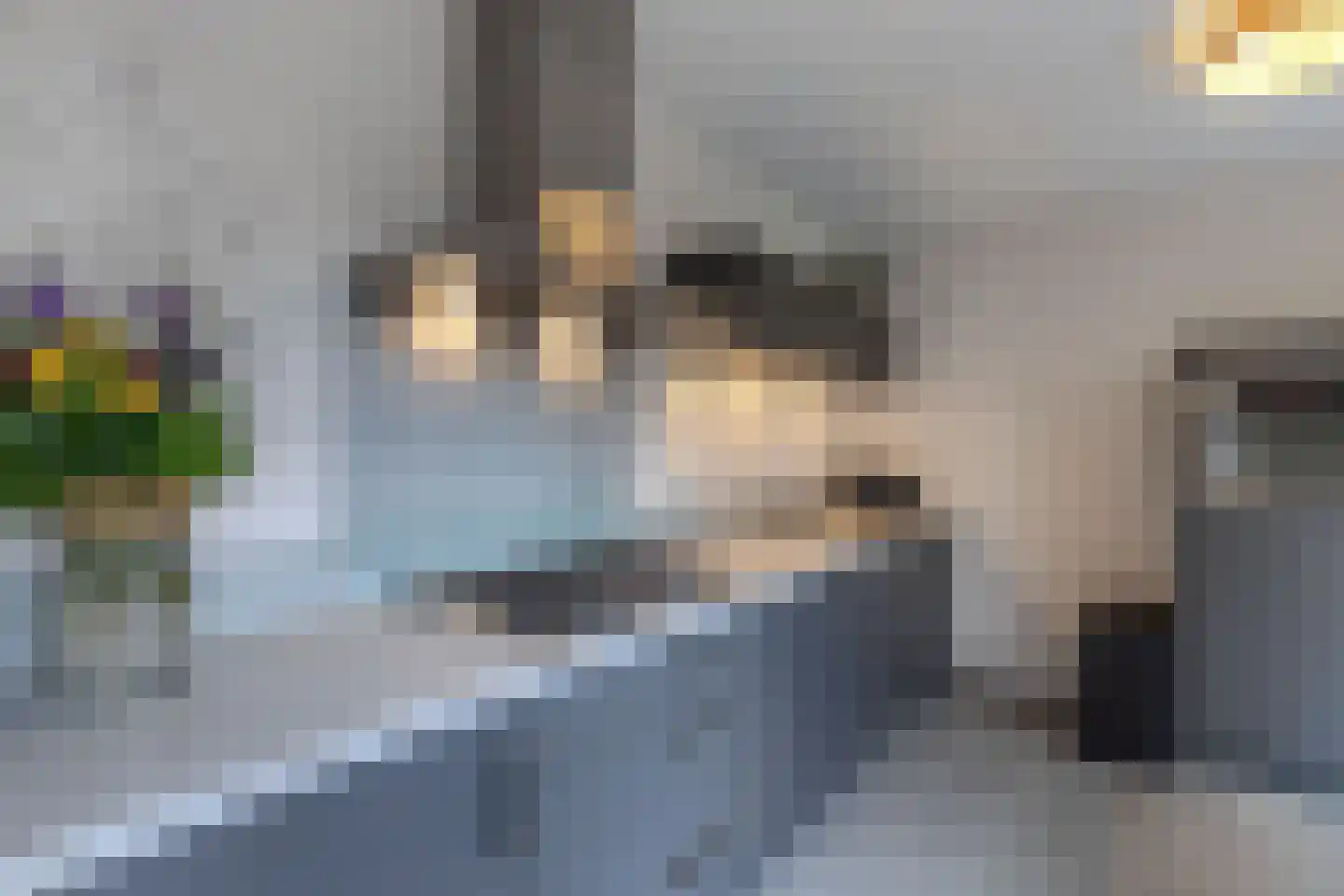 Gooilaan 15 Emmeloord thumbnail 33