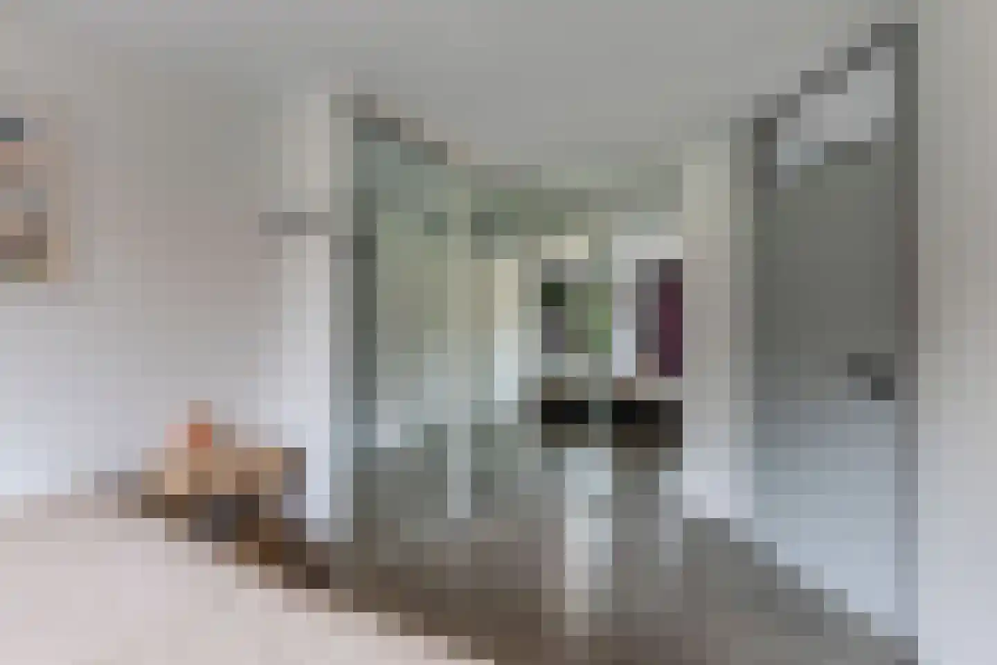 Gooilaan 15 Emmeloord thumbnail 39