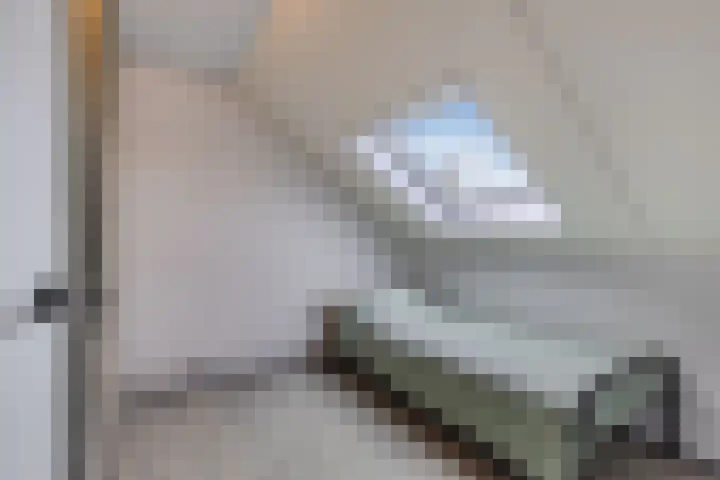 Gooilaan 15 Emmeloord thumbnail 47