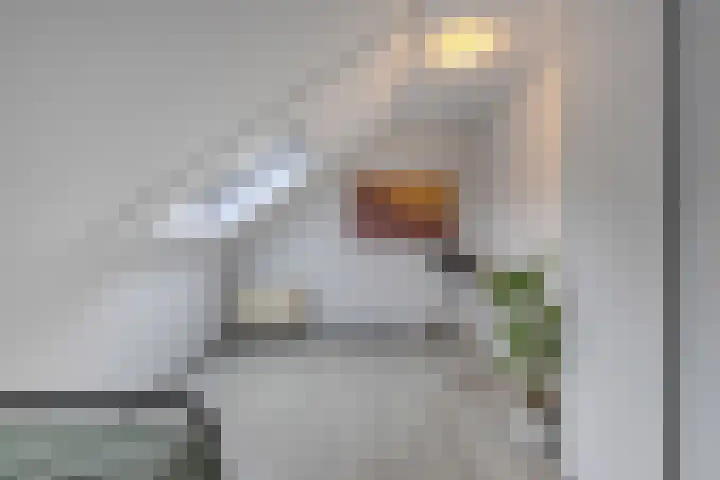 Gooilaan 15 Emmeloord thumbnail 48