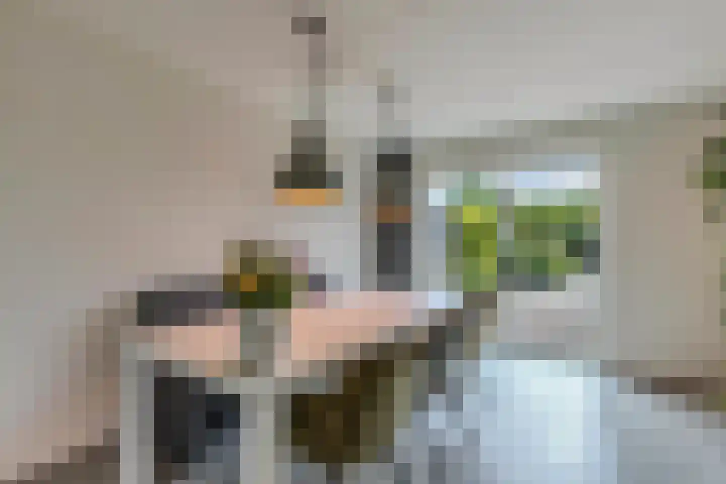 Gooilaan 15 Emmeloord thumbnail 5