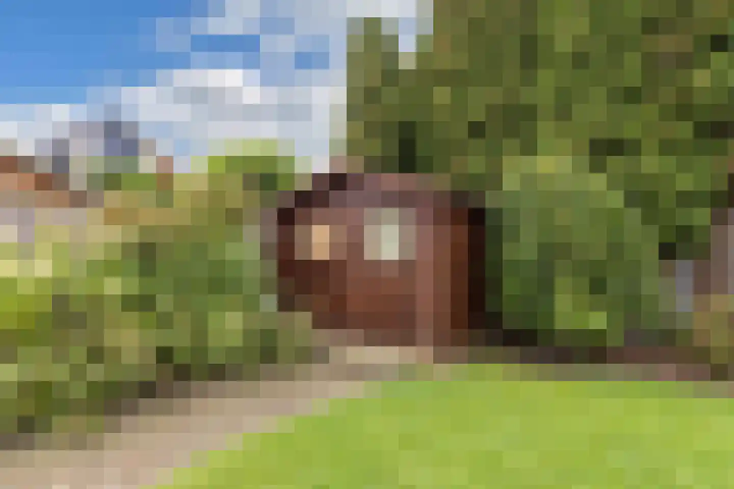 Gooilaan 15 Emmeloord thumbnail 53