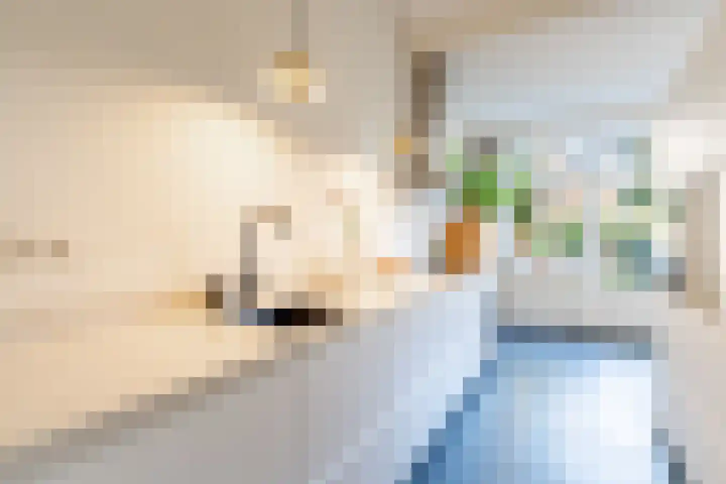 Gooilaan 4 Bussum thumbnail 15