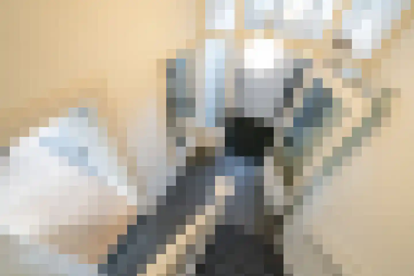 Gooilaan 4 Bussum thumbnail 16