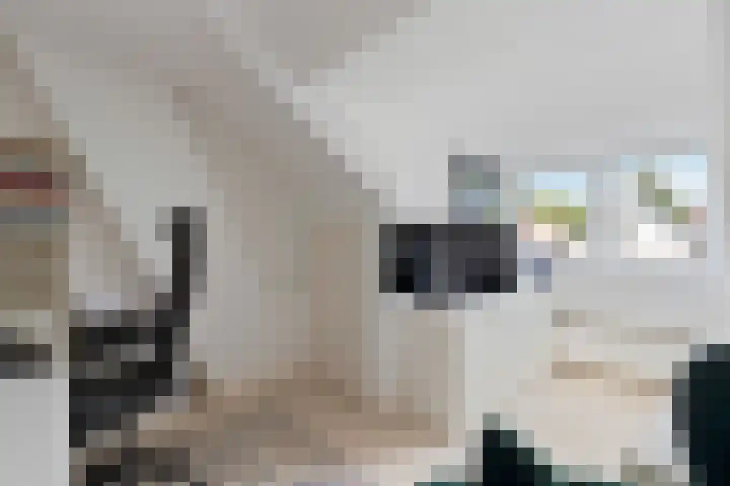 Gooilaan 5 Bussum thumbnail 37