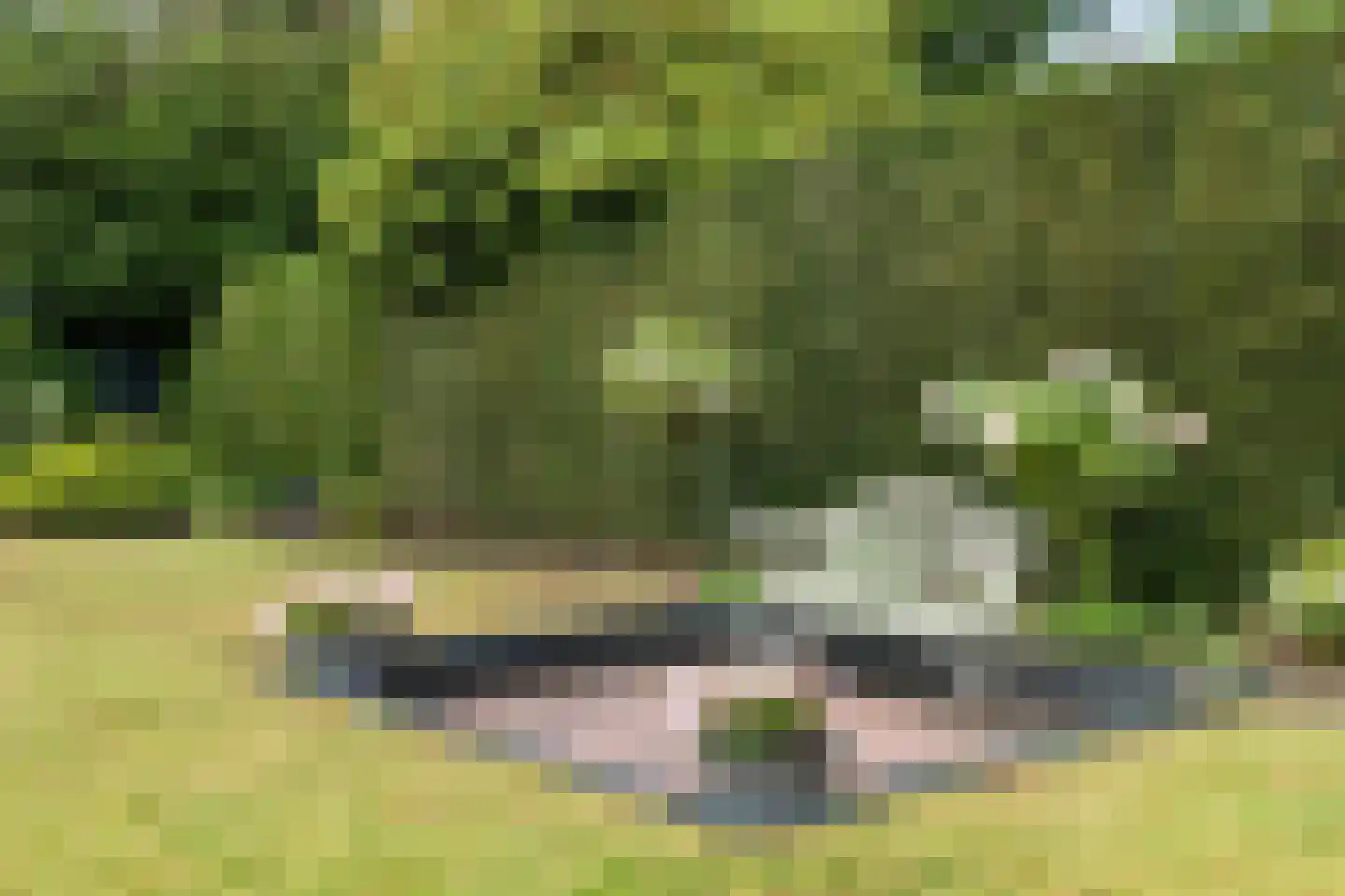 Gooilaan 5 Bussum thumbnail 41