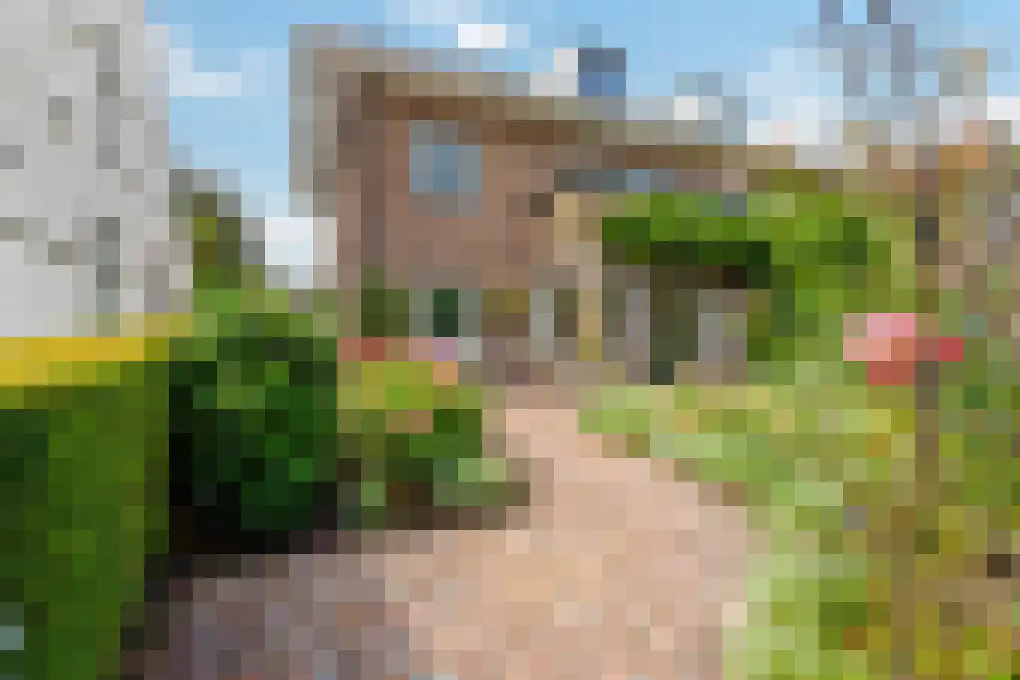 Gooilaan 5 Bussum thumbnail 5