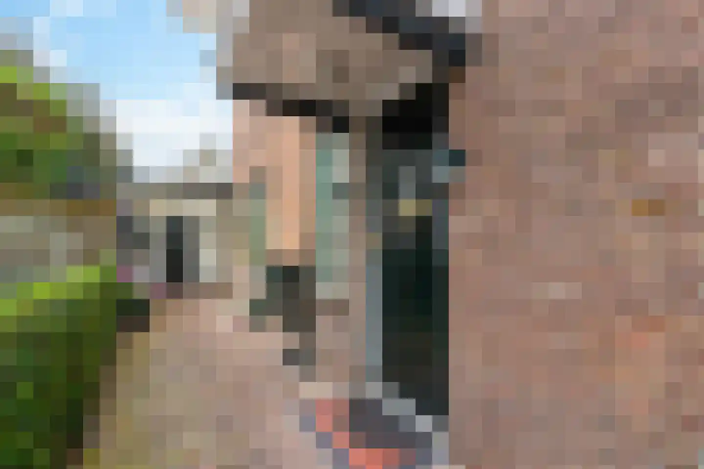 Gooilaan 5 Bussum thumbnail 8