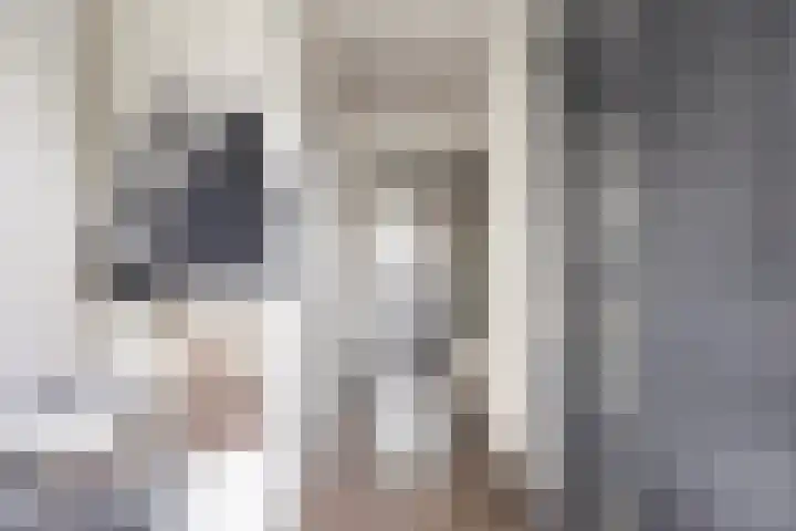 Gooiland 33 's-Hertogenbosch thumbnail 12