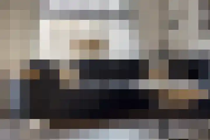 Gooiland 33 's-Hertogenbosch thumbnail 16
