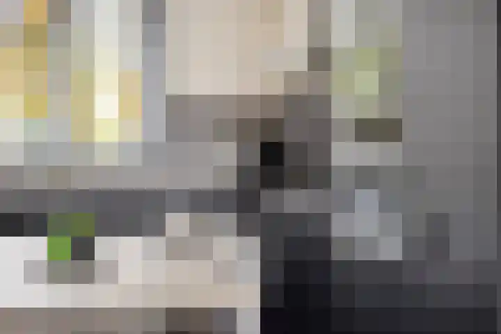Gooiland 33 's-Hertogenbosch thumbnail 26