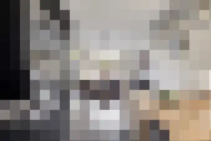 Gooiland 33 's-Hertogenbosch thumbnail 27