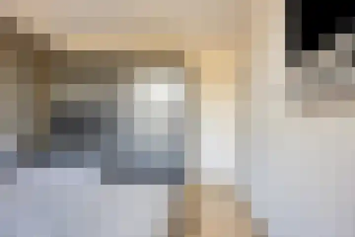 Gooiland 33 's-Hertogenbosch thumbnail 35