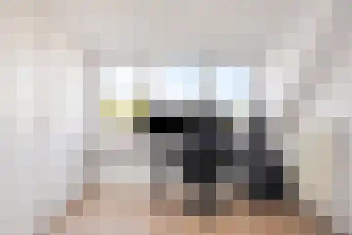 Gooiland 33 's-Hertogenbosch thumbnail 49