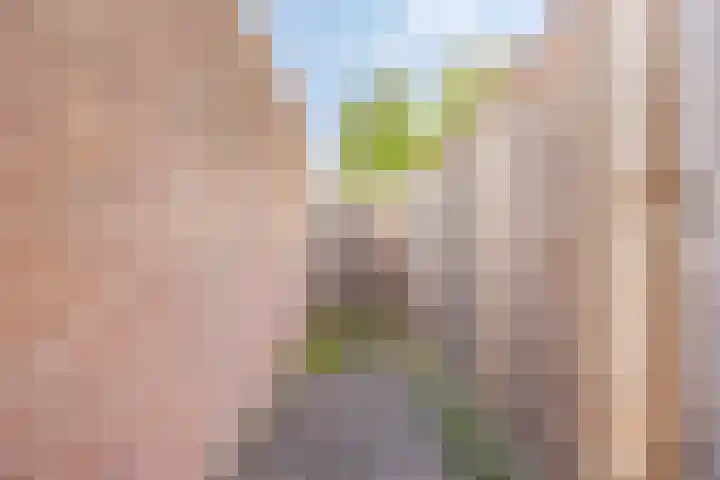 Gooiland 33 's-Hertogenbosch thumbnail 53
