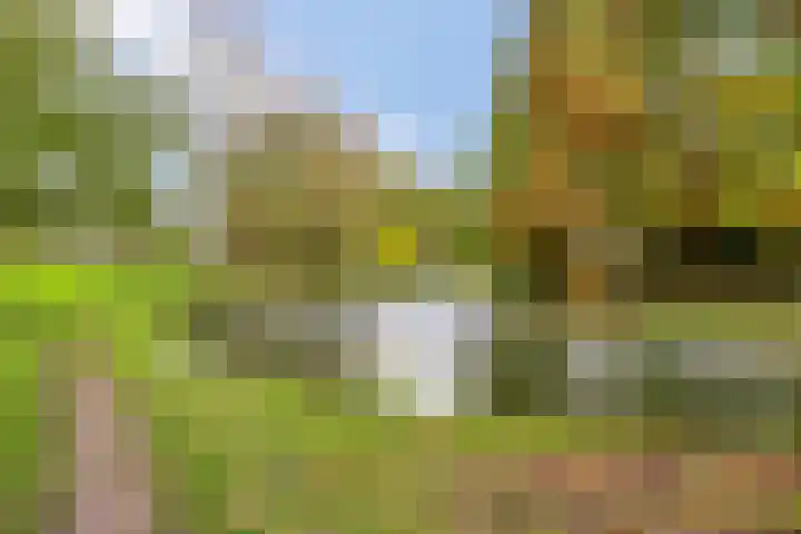 Gooiland 33 's-Hertogenbosch thumbnail 56