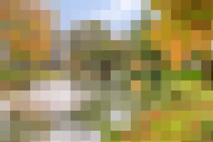 Gooiland 33 's-Hertogenbosch thumbnail 57