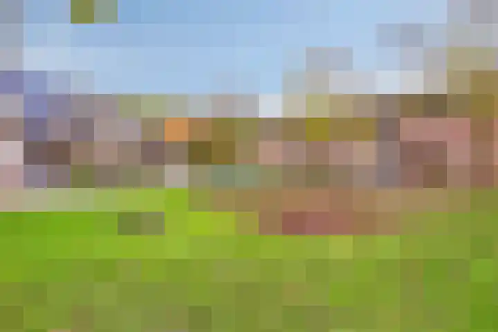 Gooiland 33 's-Hertogenbosch thumbnail 59