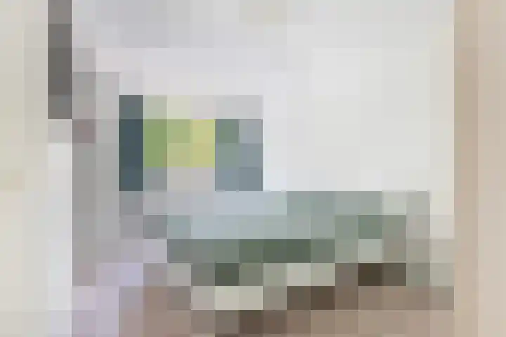 Gooiland 56 Apeldoorn thumbnail 15