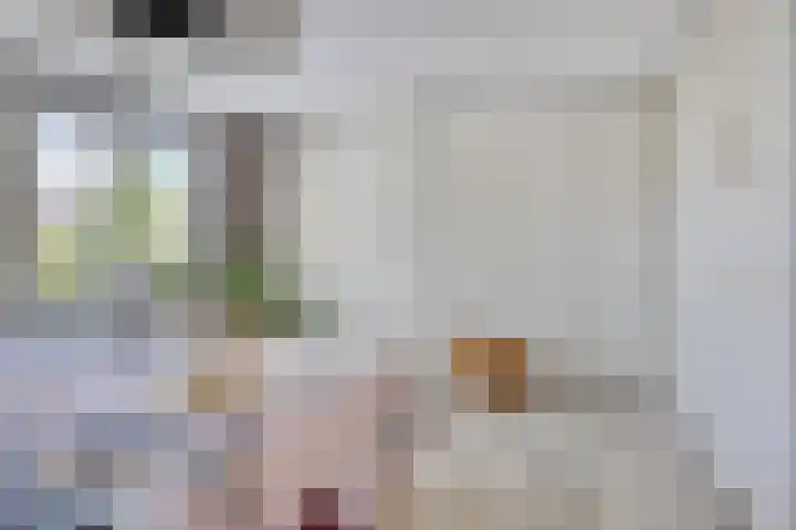 Gooiland 8 Roelofarendsveen thumbnail 11
