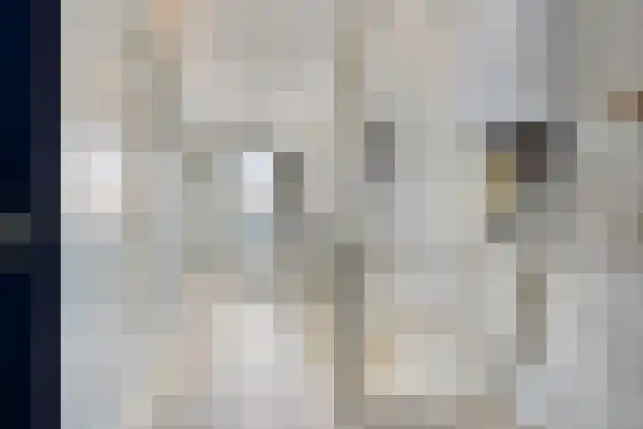 Gooiland 8 Roelofarendsveen thumbnail 15