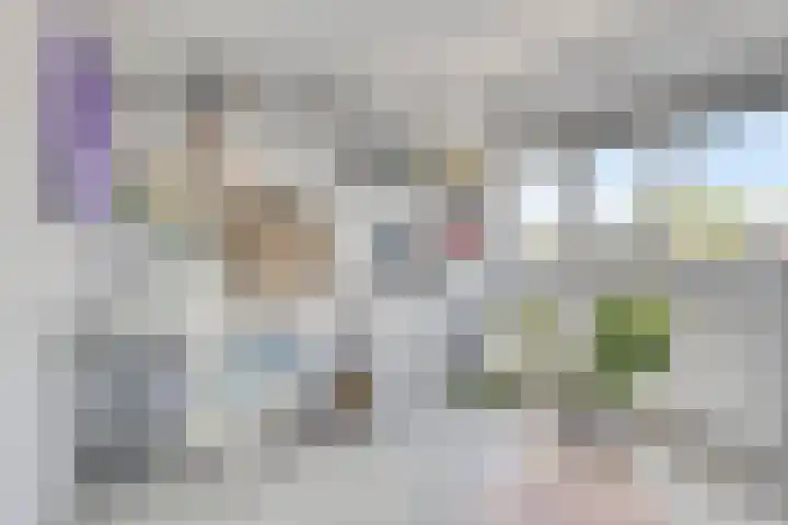 Gooiland 8 Roelofarendsveen thumbnail 17