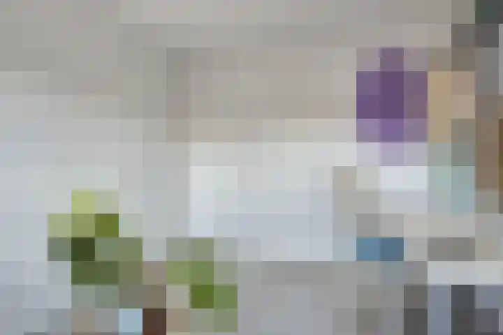 Gooiland 8 Roelofarendsveen thumbnail 18