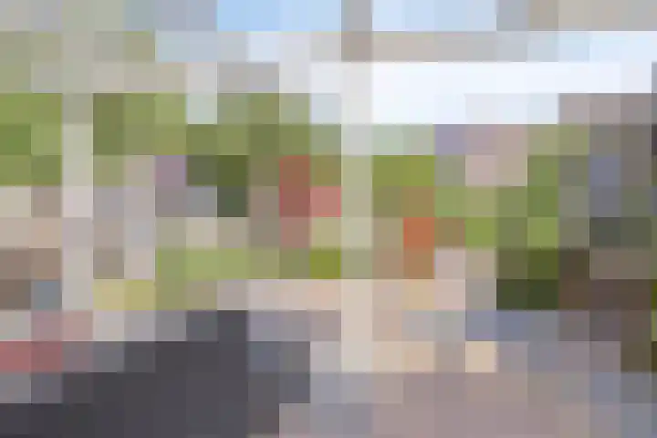 Gooiland 8 Roelofarendsveen thumbnail 20